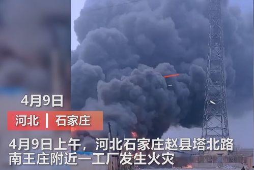 砀山最新事件爆料视频曝光,视频曝光揭示惊人真相！